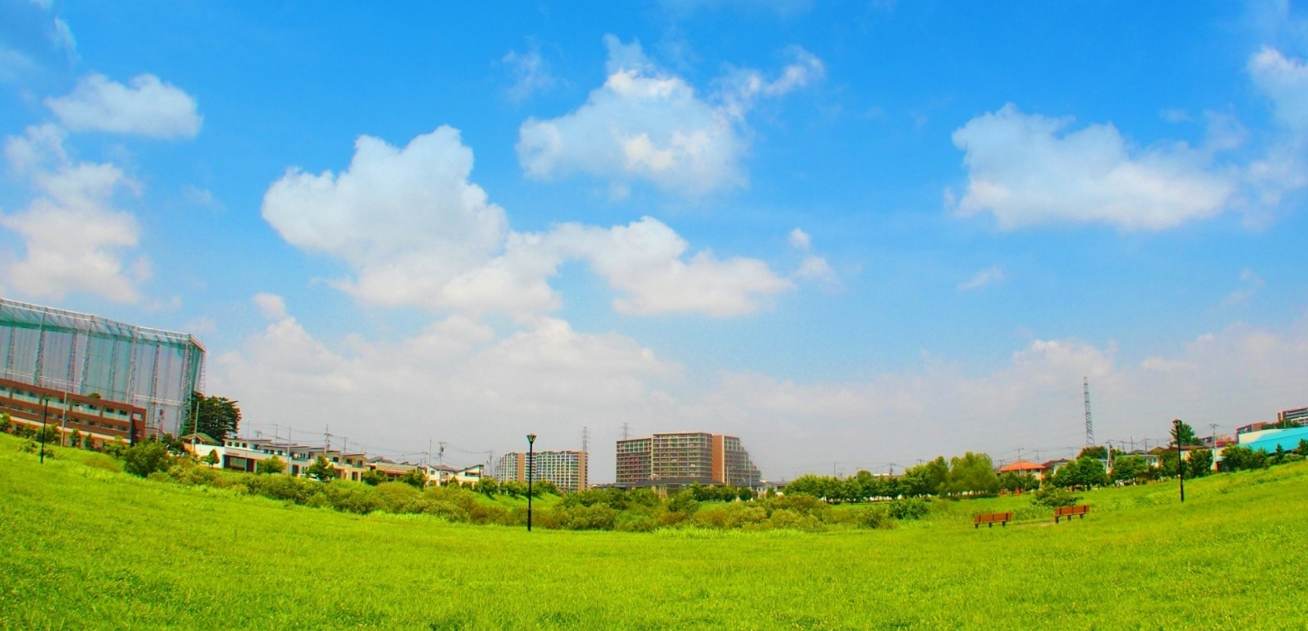 介護施設周辺の広大な緑地公園と建物群の景観